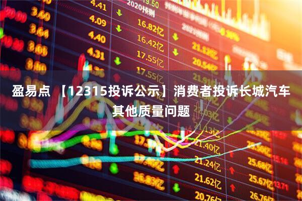 盈易点 【12315投诉公示】消费者投诉长城汽车其他质量问题
