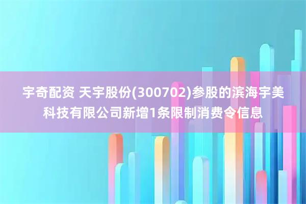 宇奇配资 天宇股份(300702)参股的滨海宇美科技有限公司新增1条限制消费令信息