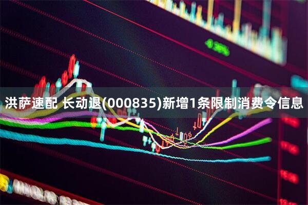 洪萨速配 长动退(000835)新增1条限制消费令信息