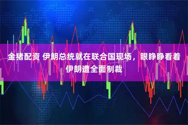 金猪配资 伊朗总统就在联合国现场，眼睁睁看着伊朗遭全面制裁