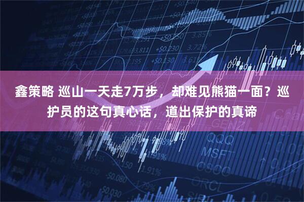 鑫策略 巡山一天走7万步，却难见熊猫一面？巡护员的这句真心话，道出保护的真谛