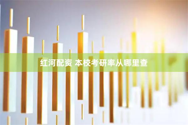 红河配资 本校考研率从哪里查