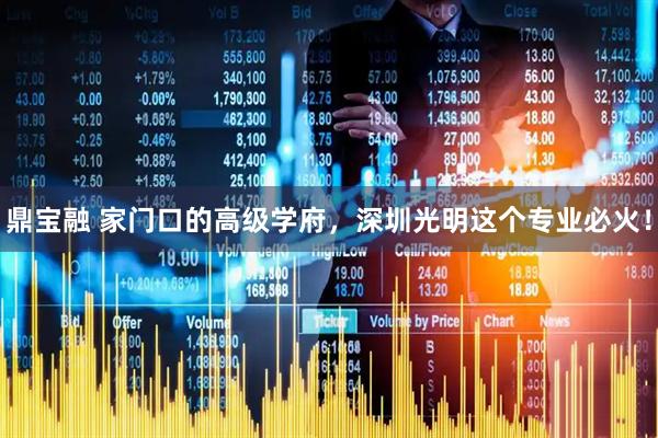 鼎宝融 家门口的高级学府，深圳光明这个专业必火！