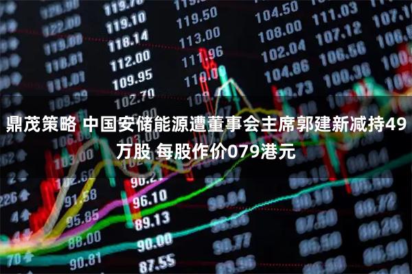 鼎茂策略 中国安储能源遭董事会主席郭建新减持49万股 每股作价079港元