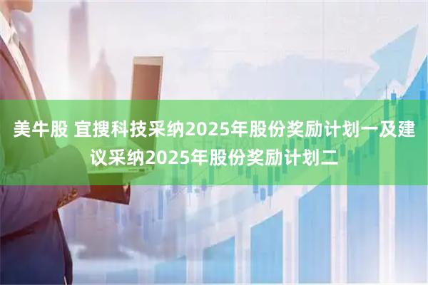 美牛股 宜搜科技采纳2025年股份奖励计划一及建议采纳2025年股份奖励计划二