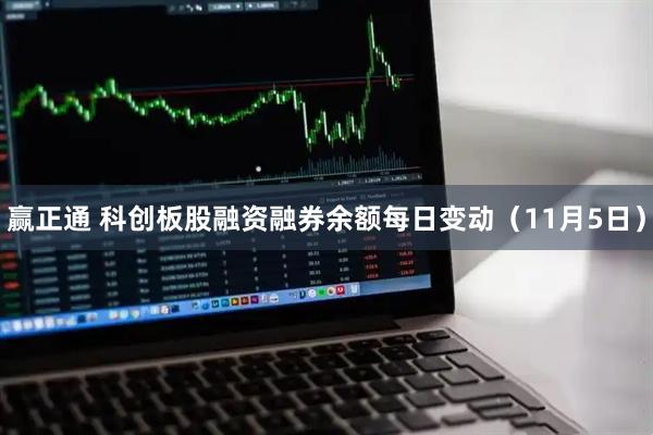 赢正通 科创板股融资融券余额每日变动（11月5日）