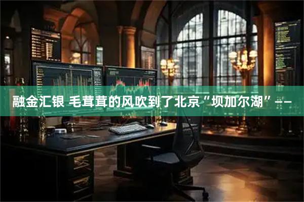融金汇银 毛茸茸的风吹到了北京“坝加尔湖”——